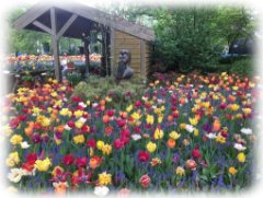 Keukenhof 1 Keukenhof 1