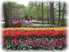 Keukenhof 2 Keukenhof 2
