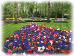 Keukenhof 5 Keukenhof 5