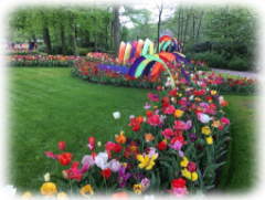 Keukenhof 6 Keukenhof 6